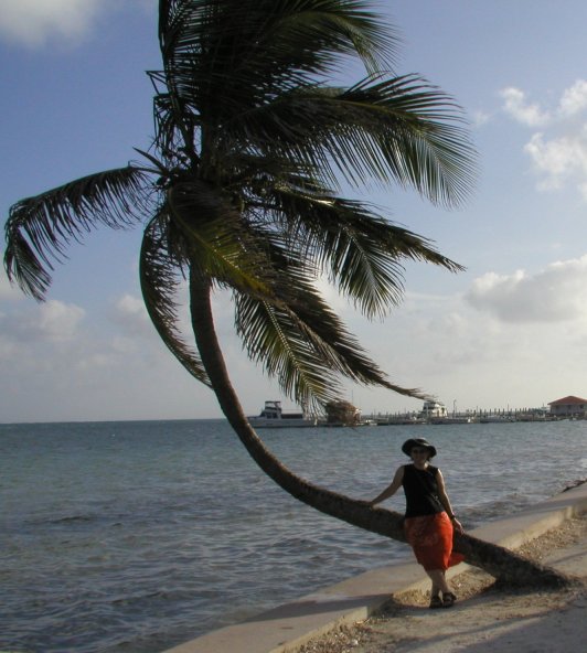 Erin on Palm Tree