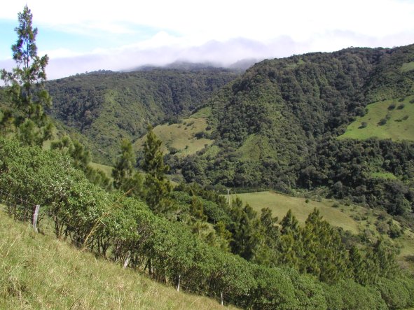 Looking Back Toward Monteverde