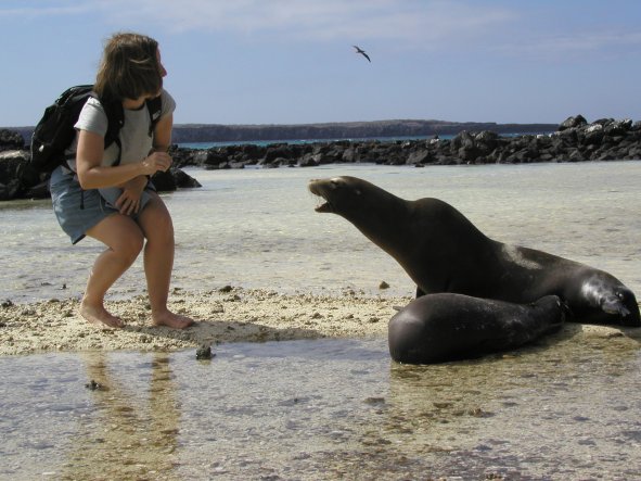 Erin and Sea Lions