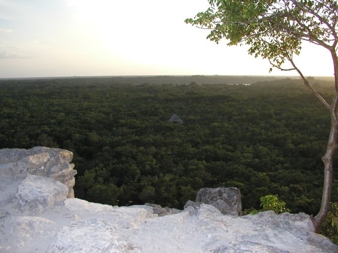 Coba - View From Nohoch Mul