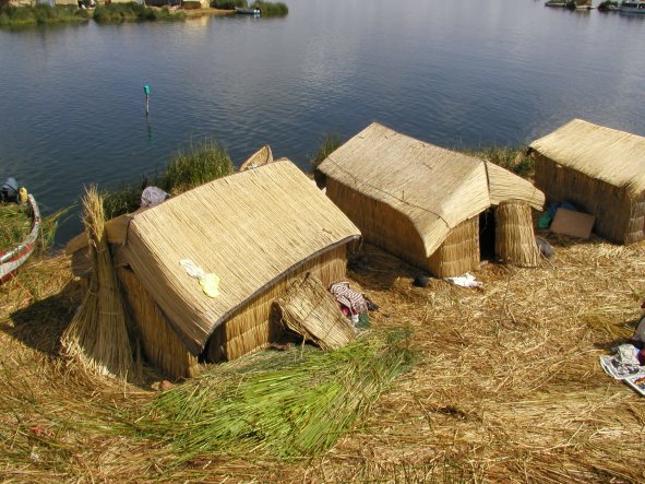 Traditional Reed Houses